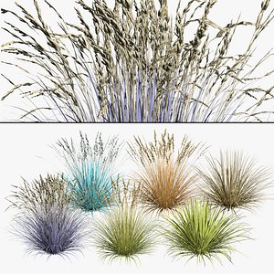 blue fescue grass in all season 3D model
