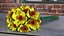 Yellow Daffodils Bouquet