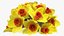 Yellow Daffodils Bouquet