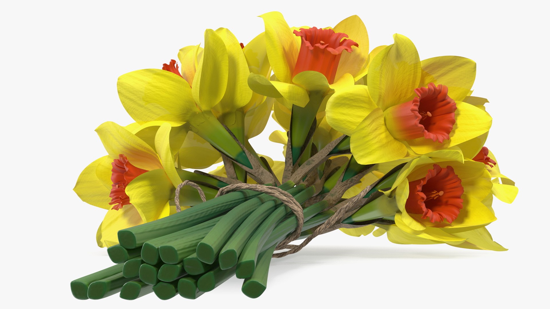 Yellow Daffodils Bouquet 3D model https://p.turbosquid.com/ts-thumb/GJ/aEKb1w/JN/yellowdaffodilsbouquet3dmodel013/jpg/1688873712/1920x1080/fit_q87/9c6a49f6f1fe4dd65a253640c77a789e0c5cdc49/yellowdaffodilsbouquet3dmodel013.jpg