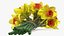 Yellow Daffodils Bouquet