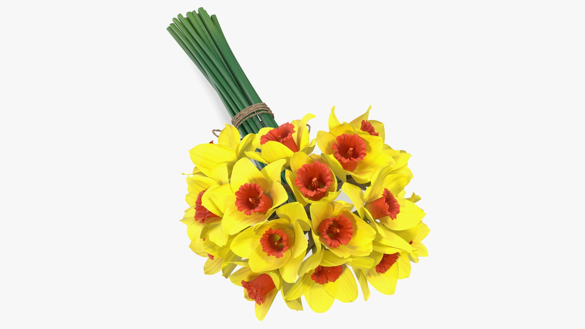 Yellow Daffodils Bouquet 3D model TurboSquid 2094455