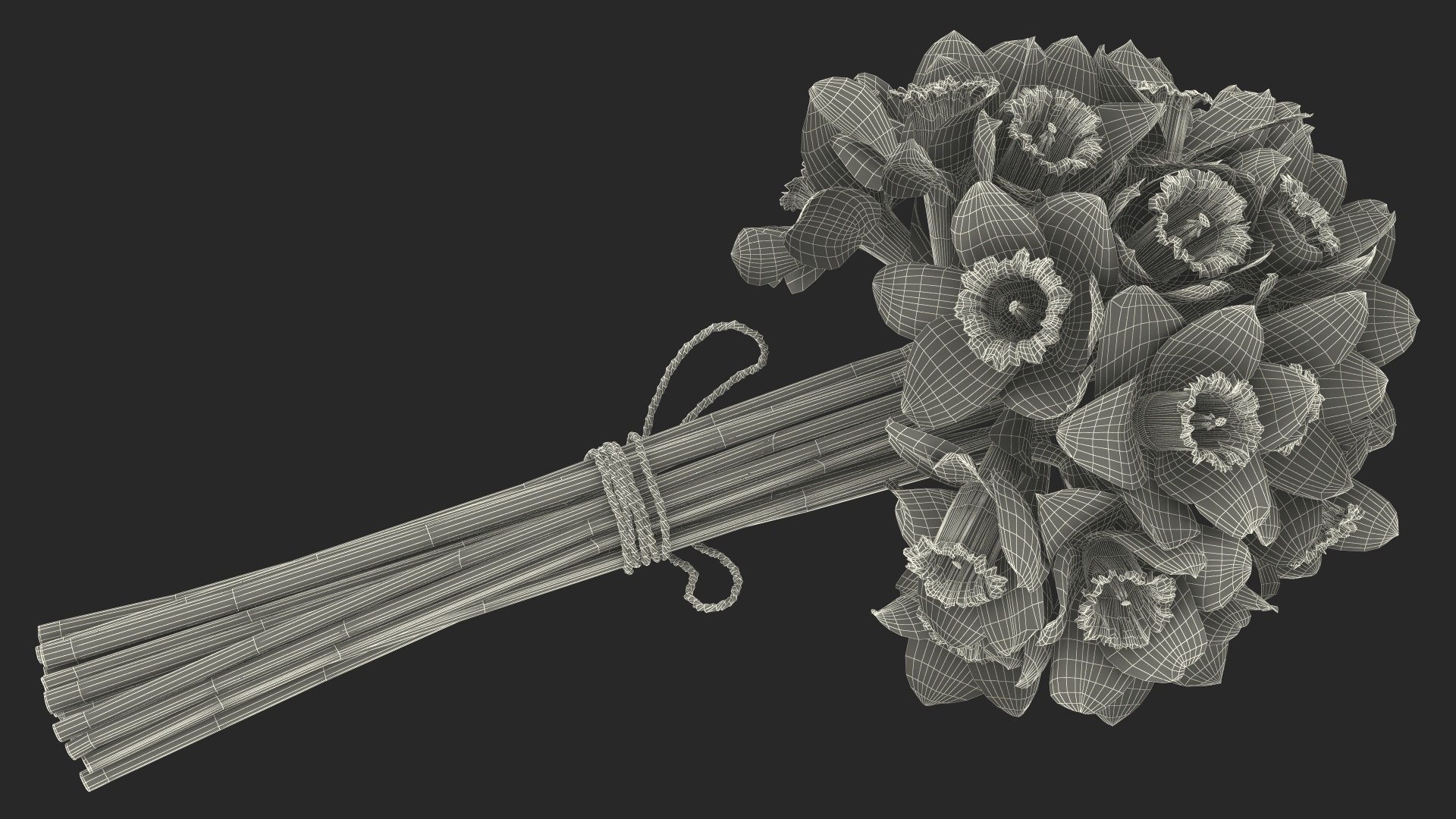Yellow Daffodils Bouquet 3D model https://p.turbosquid.com/ts-thumb/GJ/aEKb1w/ga/yellowdaffodilsbouquet3dmodel027/jpg/1688873780/1920x1080/fit_q87/bf307ffd05f126600c525dcb7392eac35a5b6529/yellowdaffodilsbouquet3dmodel027.jpg