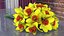 Yellow Daffodils Bouquet