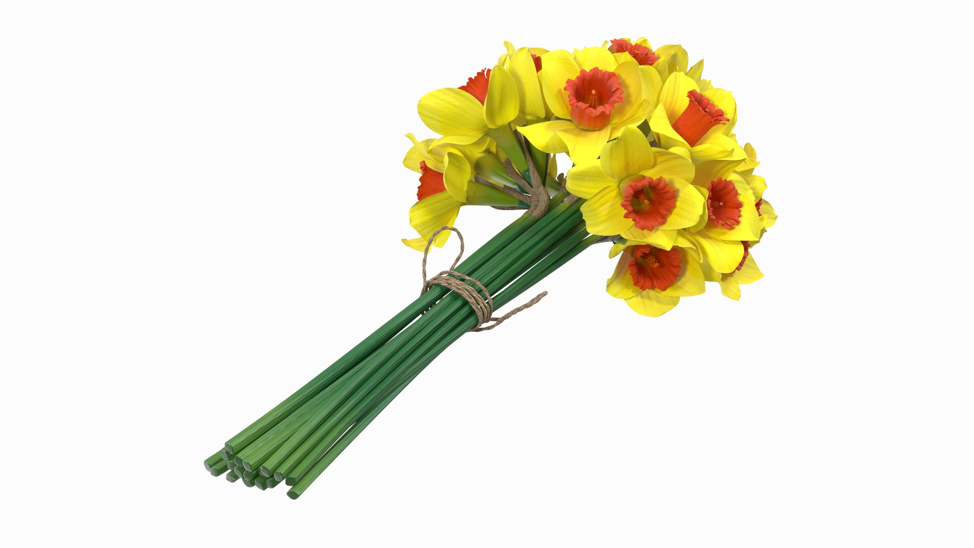 Yellow Daffodils Bouquet 3D model https://p.turbosquid.com/ts-thumb/GJ/aEKb1w/ge/yellow_daffodils_bouquet_360/jpg/1688873210/1920x1080/turn_fit_q99/b5bbb80725e87f33a47c52cc24554d4a95fc2f96/yellow_daffodils_bouquet_360-1.jpg