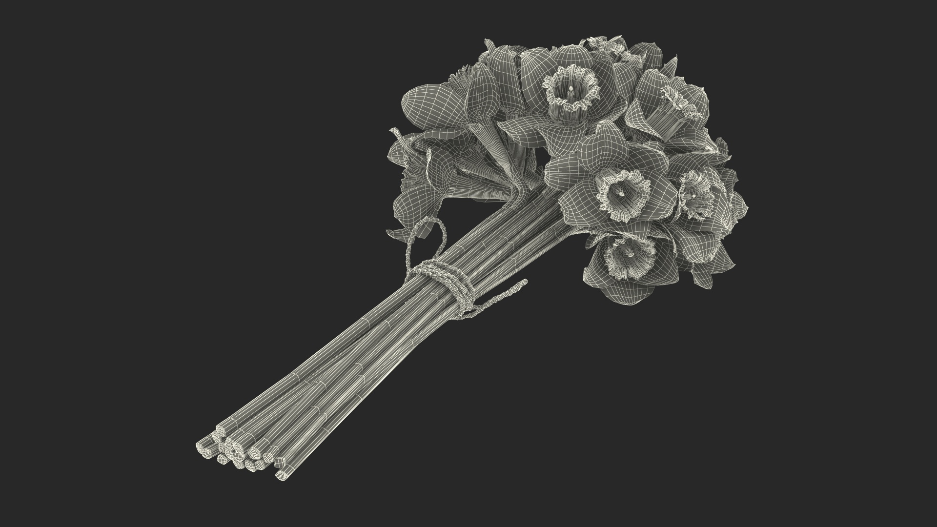 Yellow Daffodils Bouquet 3D model https://p.turbosquid.com/ts-thumb/GJ/aEKb1w/hf/yellow_daffodils_bouquet_361/jpg/1688873432/1920x1080/turn_fit_q99/25f8a080f301837ba4072a8fa045c24219d87b0f/yellow_daffodils_bouquet_361-1.jpg