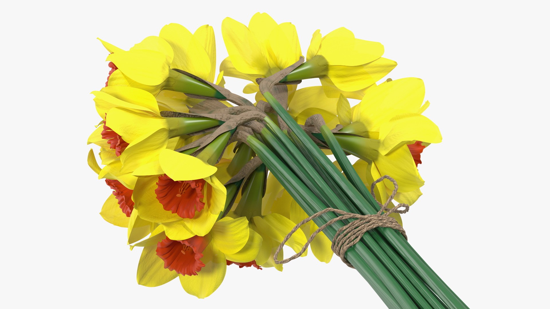 Yellow Daffodils Bouquet 3D model - TurboSquid 2094455