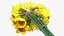 Yellow Daffodils Bouquet