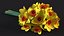 Yellow Daffodils Bouquet