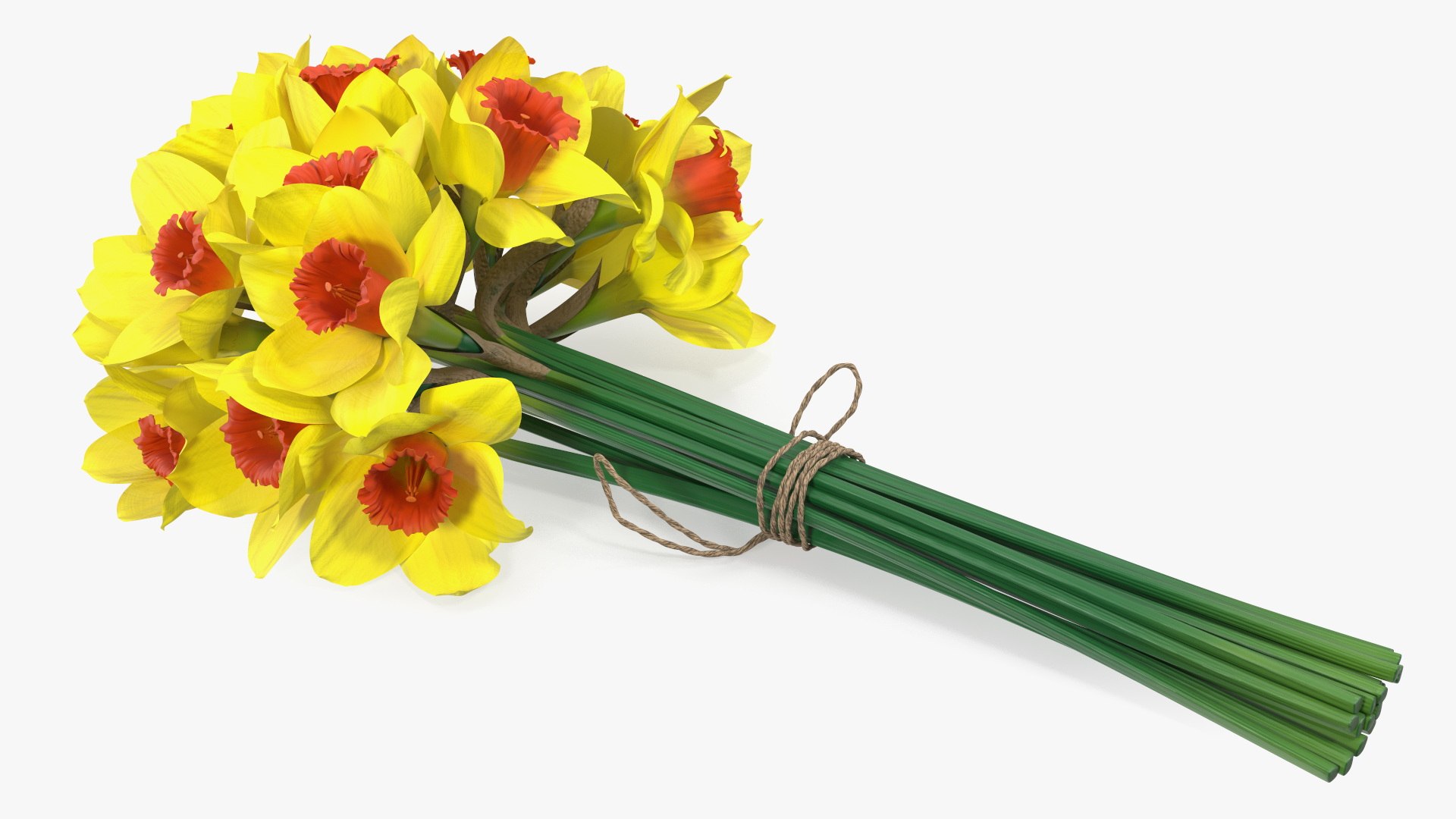 Yellow Daffodils Bouquet 3D model - TurboSquid 2094455