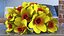 Yellow Daffodils Bouquet