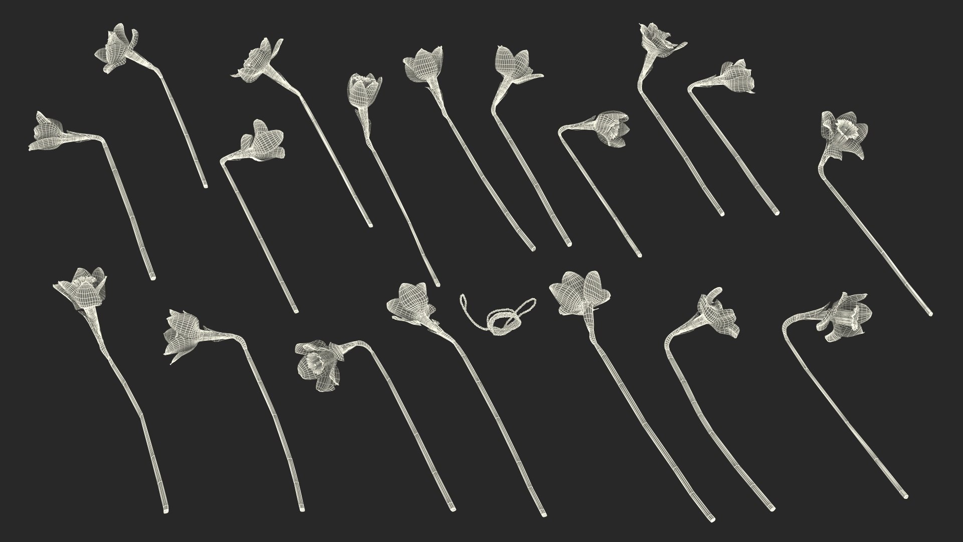 Yellow Daffodils Bouquet 3D model https://p.turbosquid.com/ts-thumb/GJ/aEKb1w/qg/yellowdaffodilsbouquet3dmodel031/jpg/1688873799/1920x1080/fit_q87/dc6de0e42edb1dbe3281f7200c303b3664add7d9/yellowdaffodilsbouquet3dmodel031.jpg