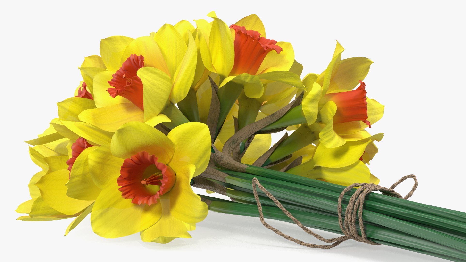 Yellow Daffodils Bouquet 3D model - TurboSquid 2094455