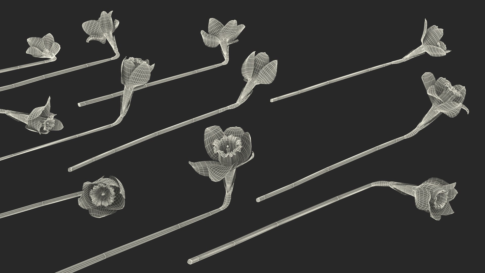 Yellow Daffodils Bouquet 3D model https://p.turbosquid.com/ts-thumb/GJ/aEKb1w/wl/yellowdaffodilsbouquet3dmodel032/jpg/1688873803/1920x1080/fit_q87/df704e0016bee9ae58a1b279ee02676b51ee85eb/yellowdaffodilsbouquet3dmodel032.jpg