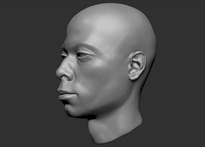 Black Man Head Realistic 3D Model - TurboSquid 1215937