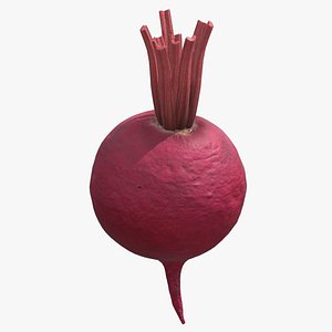 3D Beetroot Low Poly model