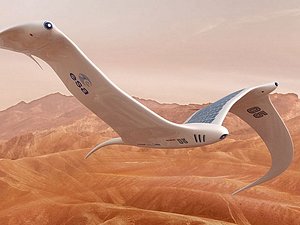 Mars Flyer