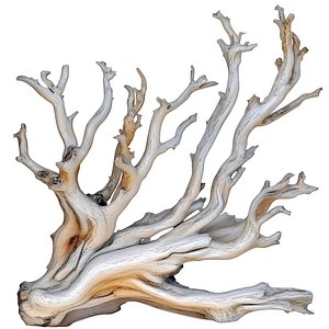 3D Decorative Old dry weathered root wood driftwood branches 3D model