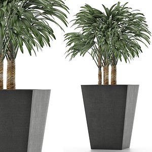 single plant 07 3D