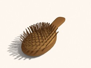 hairbrush max