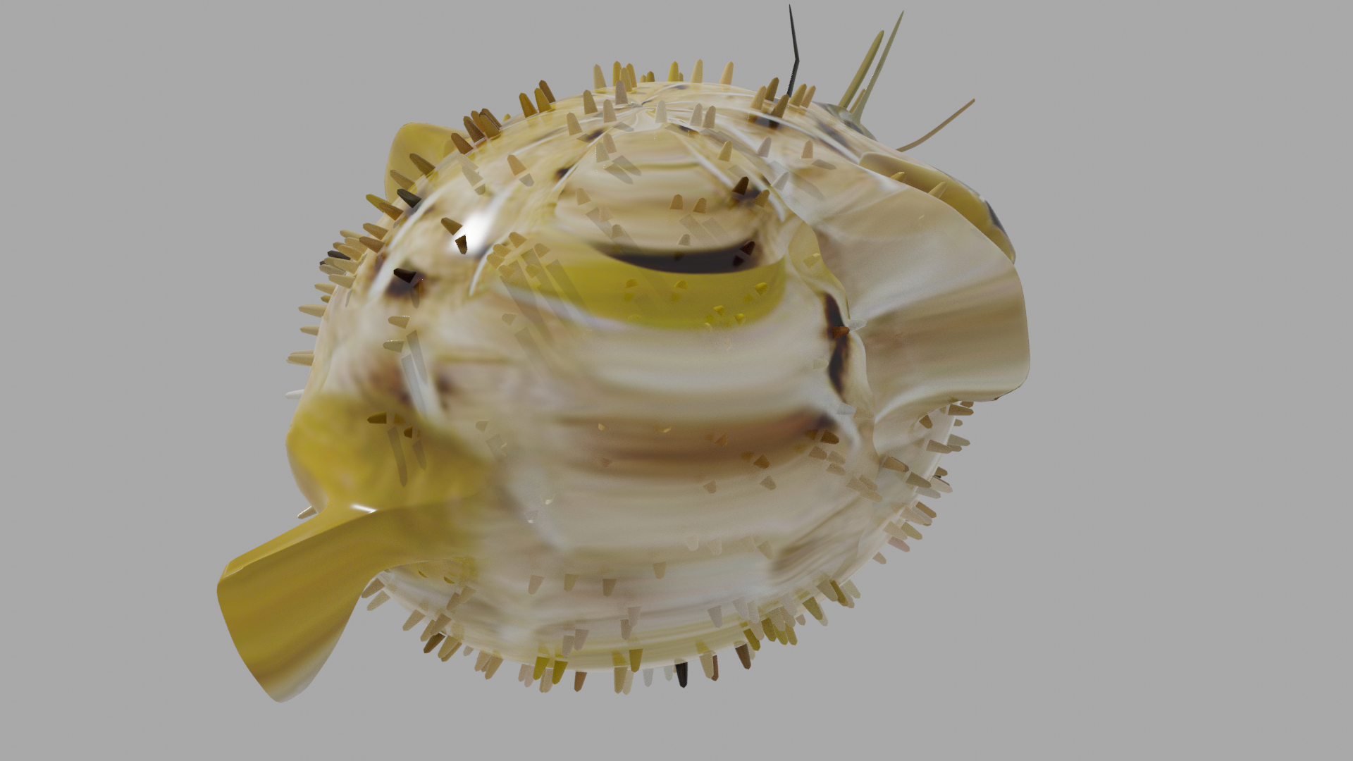 3D Balloon fish - TurboSquid 2032482