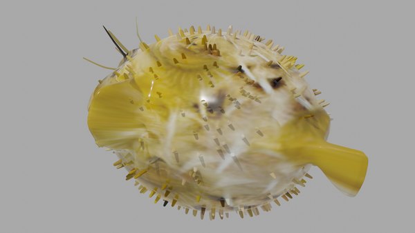 3D Balloon fish - TurboSquid 2032482