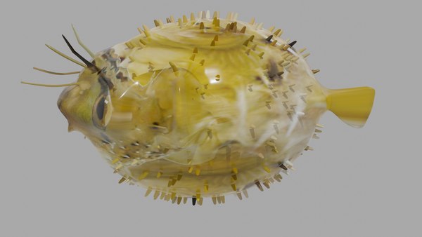 3D Balloon fish - TurboSquid 2032482