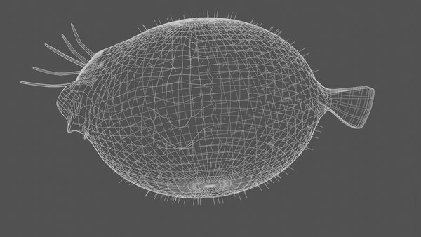 3D Balloon fish - TurboSquid 2032482