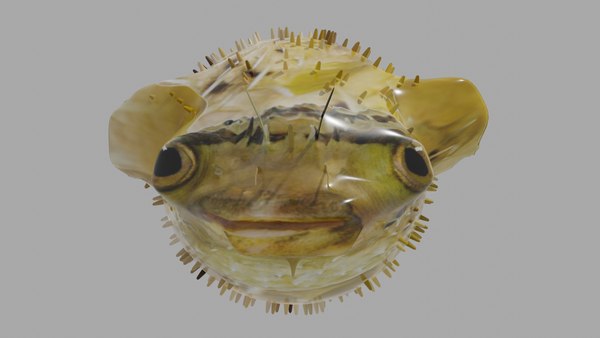 3D Balloon fish - TurboSquid 2032482