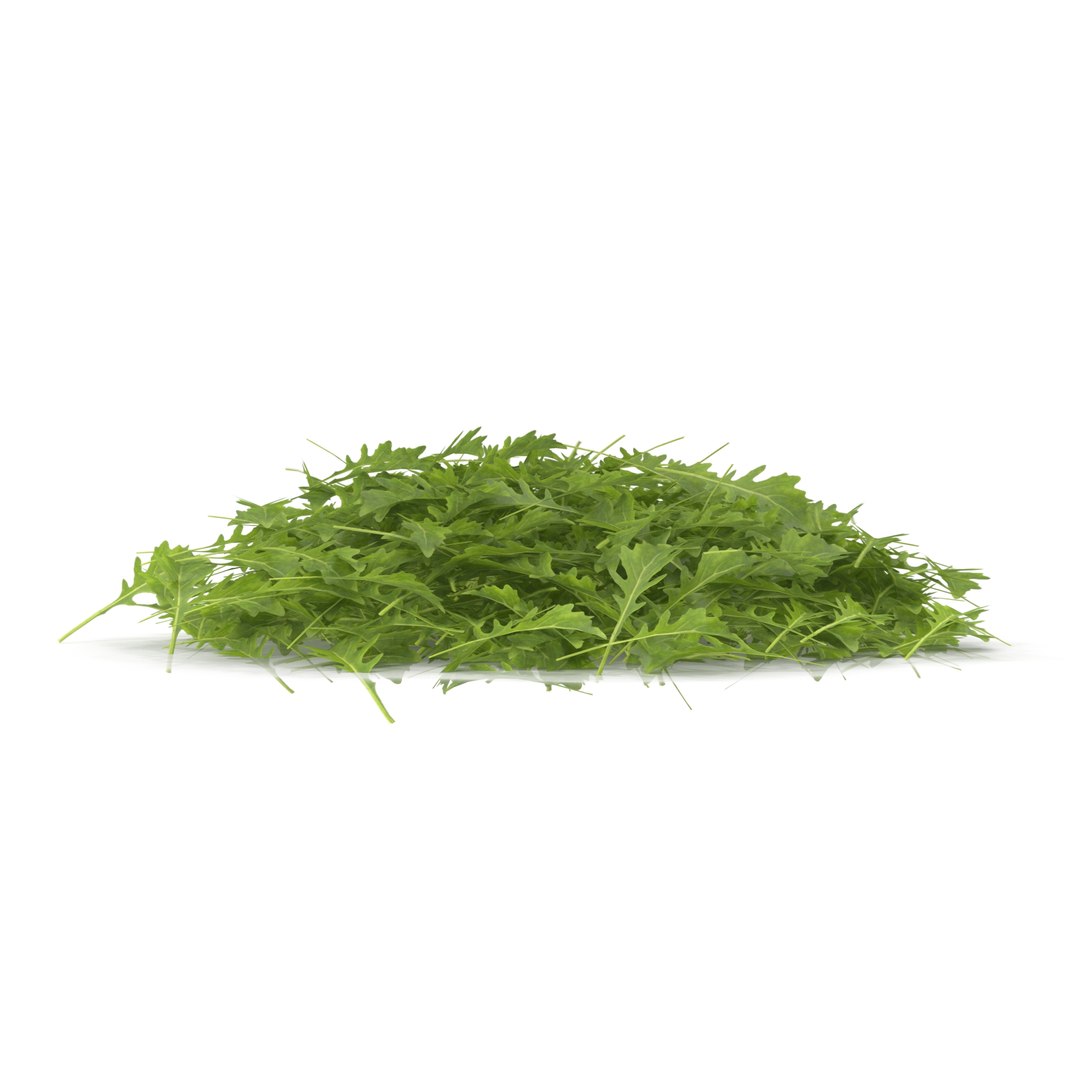 arugula model https://p.turbosquid.com/ts-thumb/GK/FJNVUu/IXpndHzz/r_0113/jpg/1582874527/1920x1080/fit_q87/4924109fef88c343124776ff114277ba8ae52741/r_0113.jpg