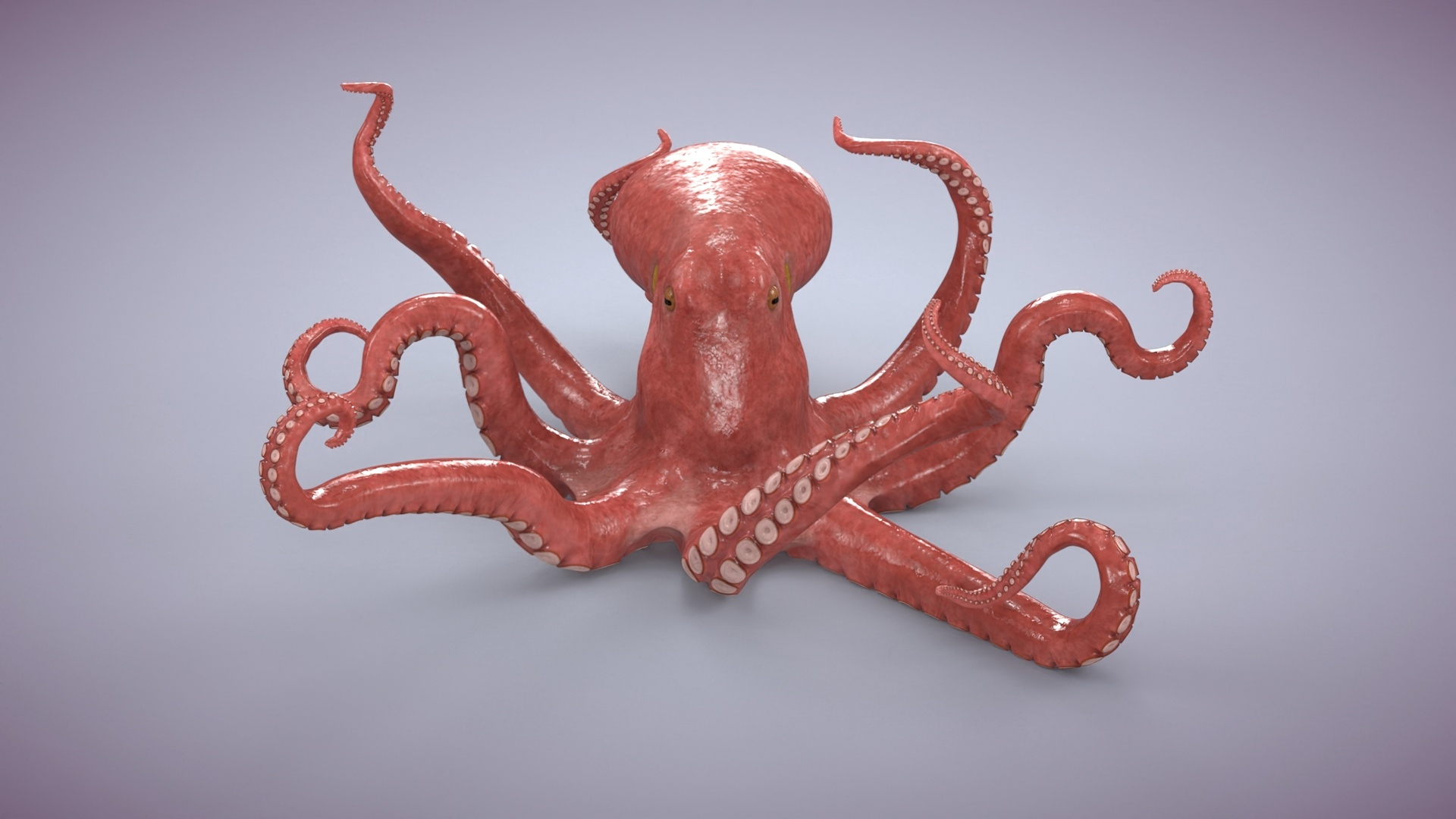 3D octopus rigged animation https://p.turbosquid.com/ts-thumb/GK/RO5jaP/fX/dif/jpg/1653587959/1920x1080/turn_fit_q99/e07a0fe06916bf3c9788c21405a1024b93163fb9/dif-1.jpg