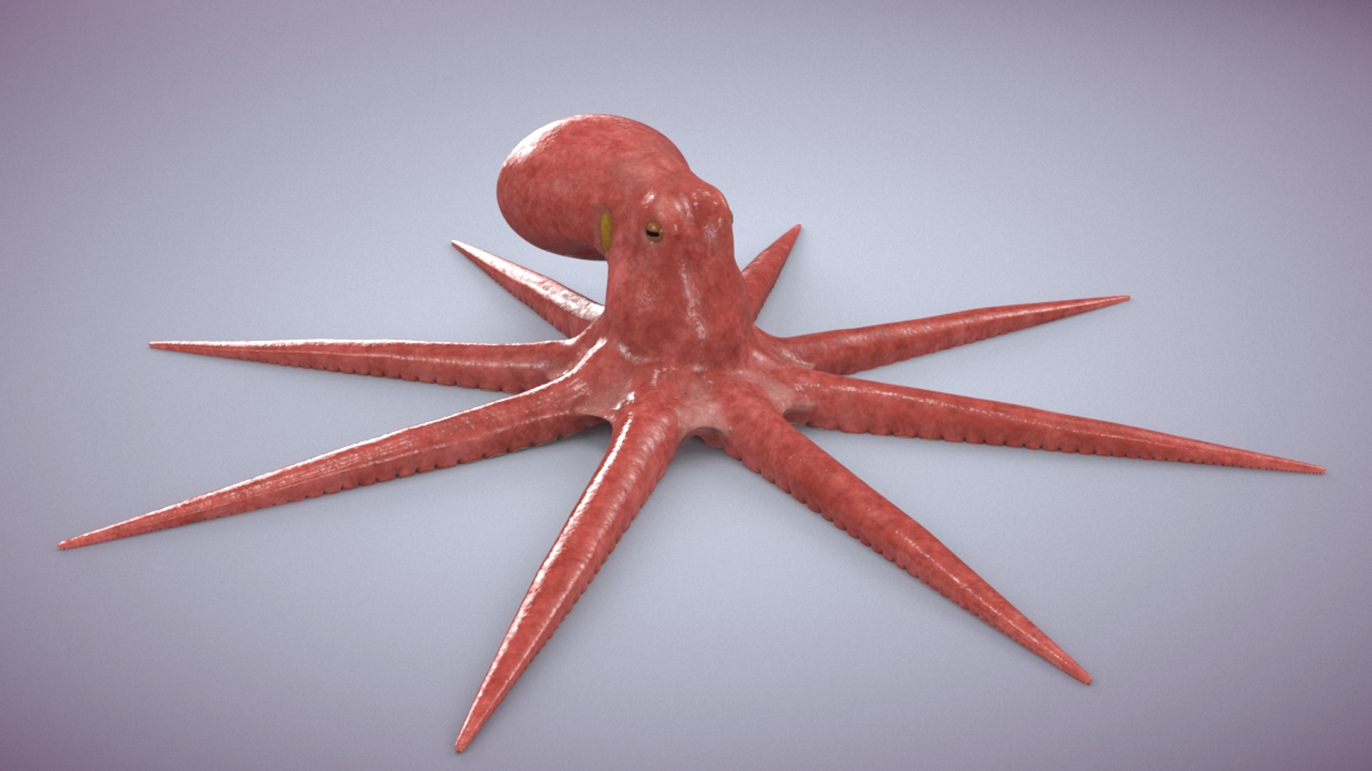 3D octopus rigged animation https://p.turbosquid.com/ts-thumb/GK/RO5jaP/ybH6FF2G/anim2/jpg/1597260499/1920x1080/turn_fit_q99/1b82ec971447edc6aa0c098c627701aec7b6b25b/anim2-1.jpg