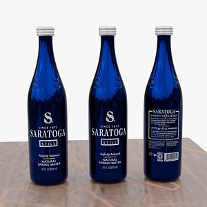 Saratoga Water 3D model