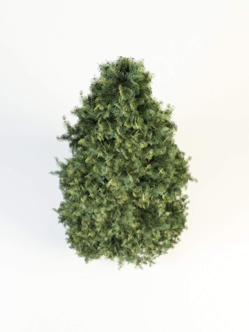white fir 10 3d 3ds https://p.turbosquid.com/ts-thumb/GK/YtAfmr/NGcnc9yD/abies_concolor_medium_4/jpg/1426070478/1920x1080/fit_q87/a9a534c8fddbe10ffbf83b5c9358a8fd2fdc17cd/abies_concolor_medium_4.jpg