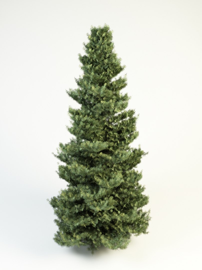 white fir 10 3d 3ds https://p.turbosquid.com/ts-thumb/GK/YtAfmr/mXIPTaJk/abies_concolor_medium_3/jpg/1426070478/1920x1080/fit_q87/576e7a05eee7e586d79de474ce7465fc11ea80d2/abies_concolor_medium_3.jpg