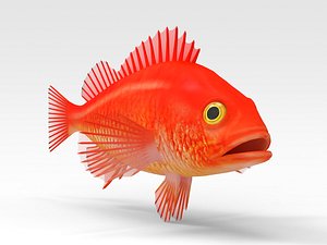 3D Gold fish