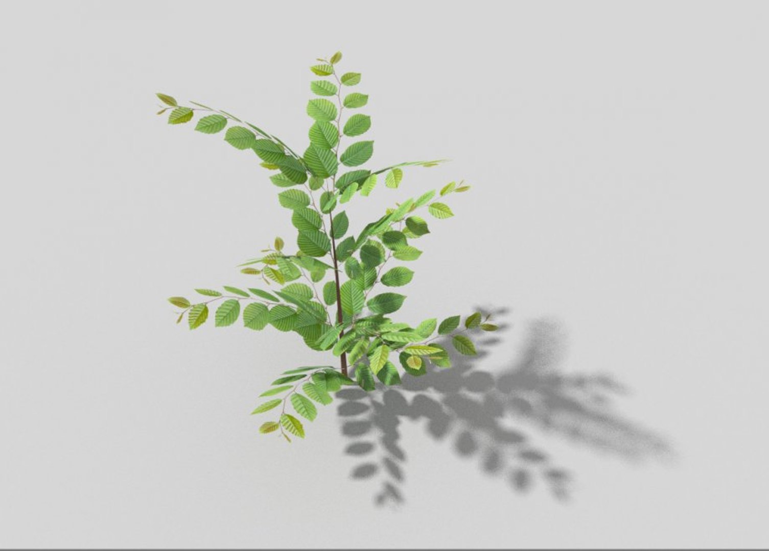 3d Shrub Games