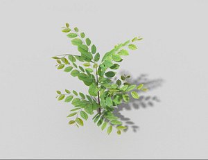 3d shrub games
