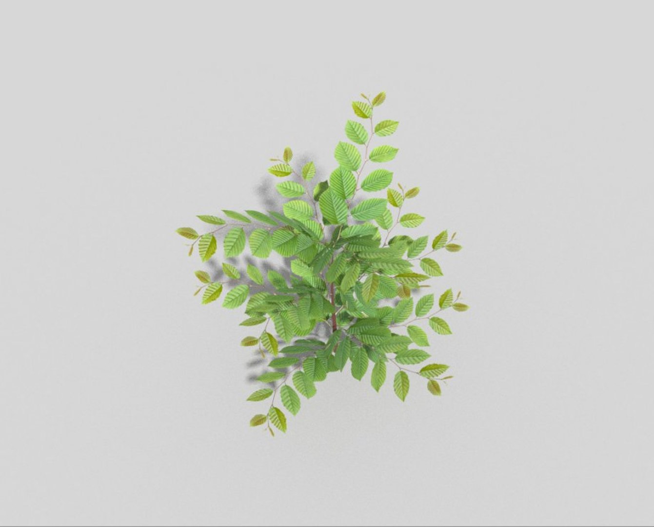 3d Shrub Games