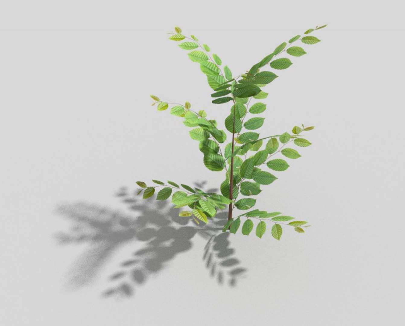 3d Shrub Games