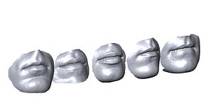 scanned mouths 3D