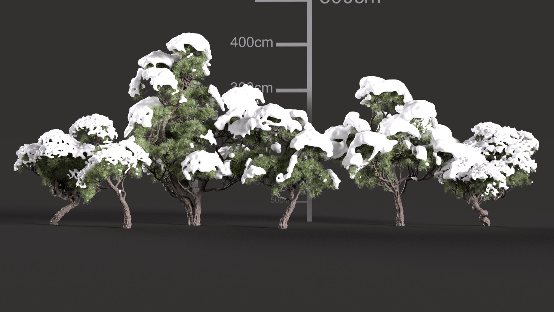 GDV26pinus Thunbergii 3D - TurboSquid 2641801
