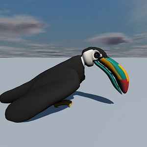 toucan