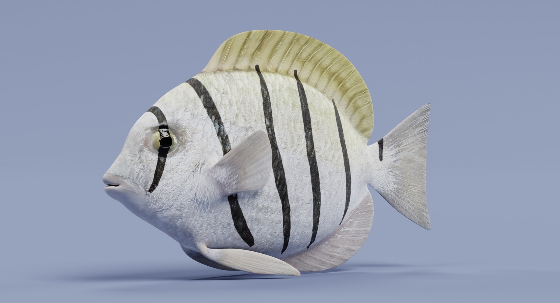 3D Convict Tang Model - TurboSquid 1251119