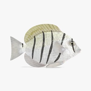 Convict Tang