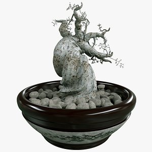 3d model little pinus longaeva tree