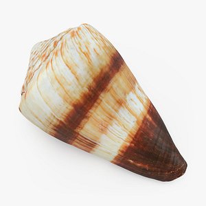 Conus Miles