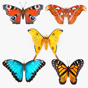 3D Butterflies Fur Collection