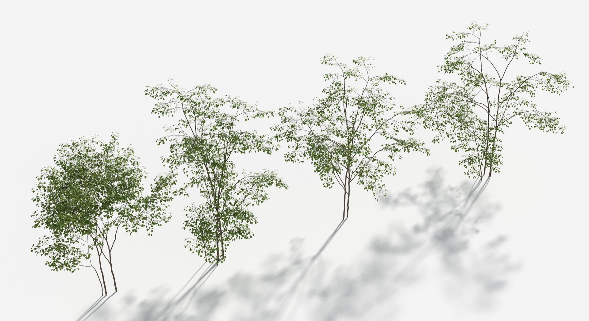 Rainforest Collection 3D https://p.turbosquid.com/ts-thumb/GL/V2msr4/0y/tree_022/jpg/1623161366/1920x1080/fit_q87/09872f868c29d6d6d8c0205b21ae2ca4ca43c3b1/tree_022.jpg