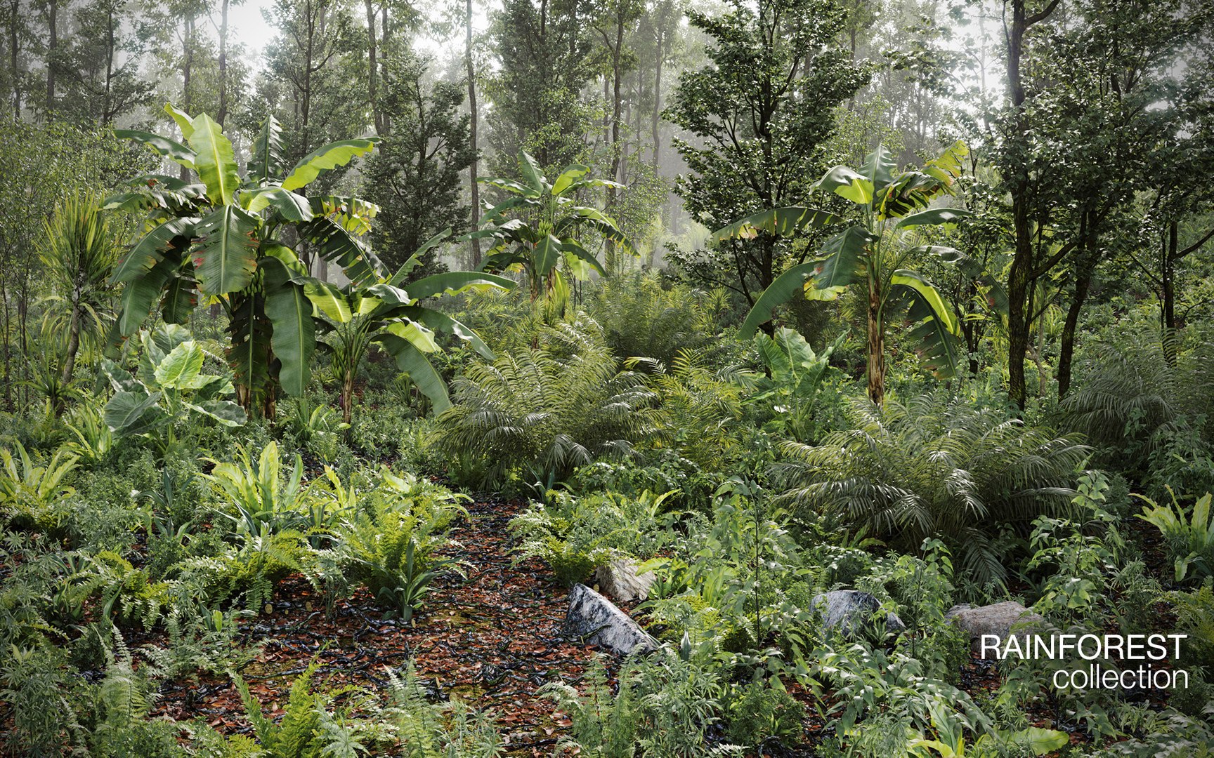 Rainforest Collection 3D https://p.turbosquid.com/ts-thumb/GL/V2msr4/7T/_rainforest_render_t/jpg/1623161931/1920x1080/fit_q87/74ab84caf88f89d79191bb5b8331ca6337f6c780/_rainforest_render_t.jpg